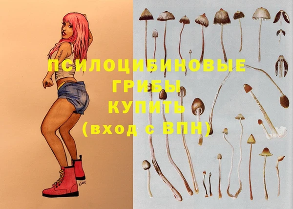 прущая мука Балахна