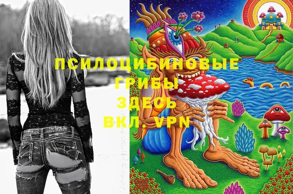 2c-b Балабаново