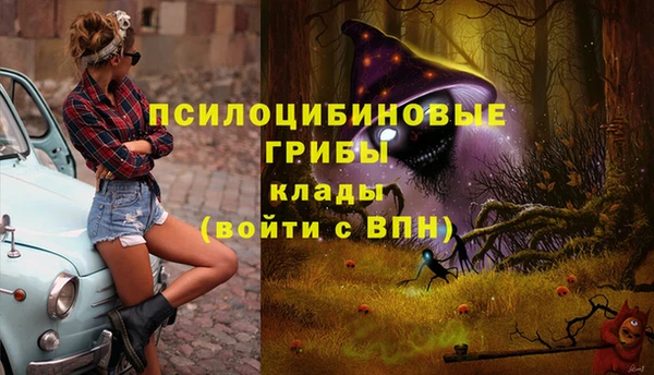 2c-b Балабаново