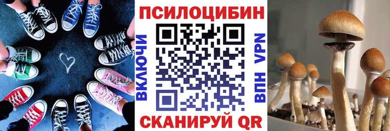 наркота  Верхнеуральск  Галлюциногенные грибы Cubensis 